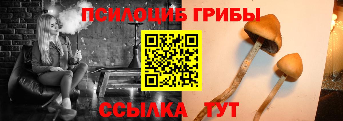 Галлюциногенные грибы Psilocybine cubensis  Вход с VPN  Лыткарино 